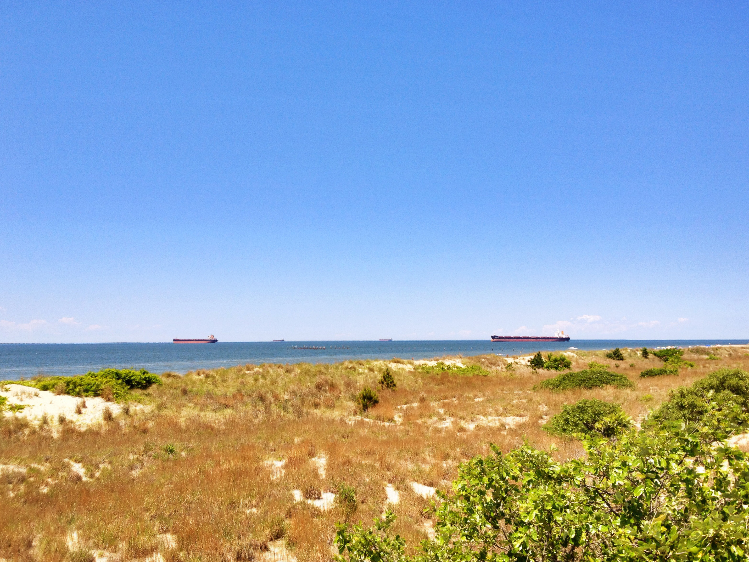 First Landing State Park looking towards Chesapeake Bay entrance