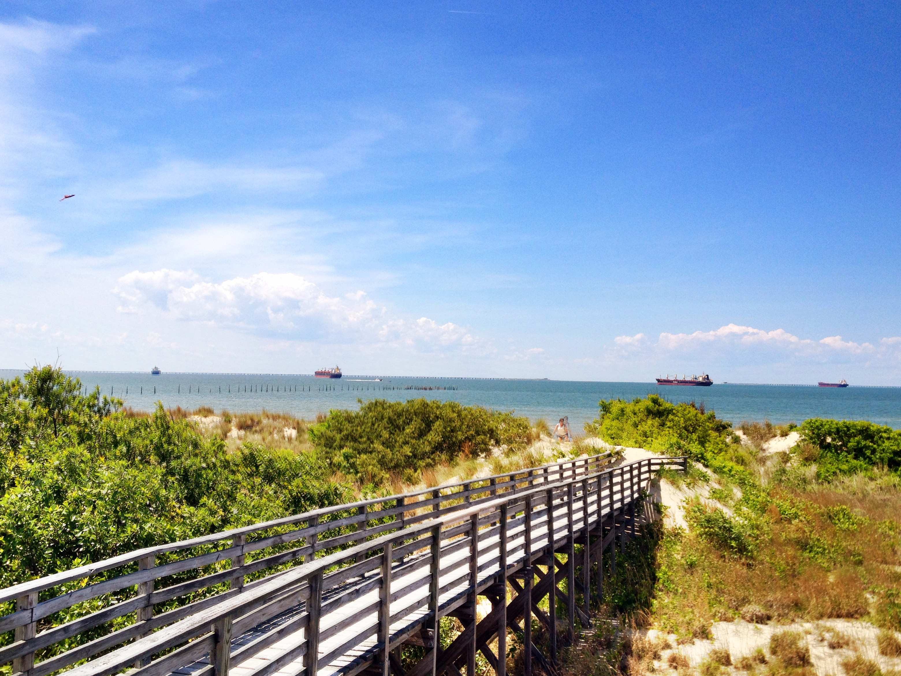 First Landing State Park looking towards Chesapeake Bay entrance