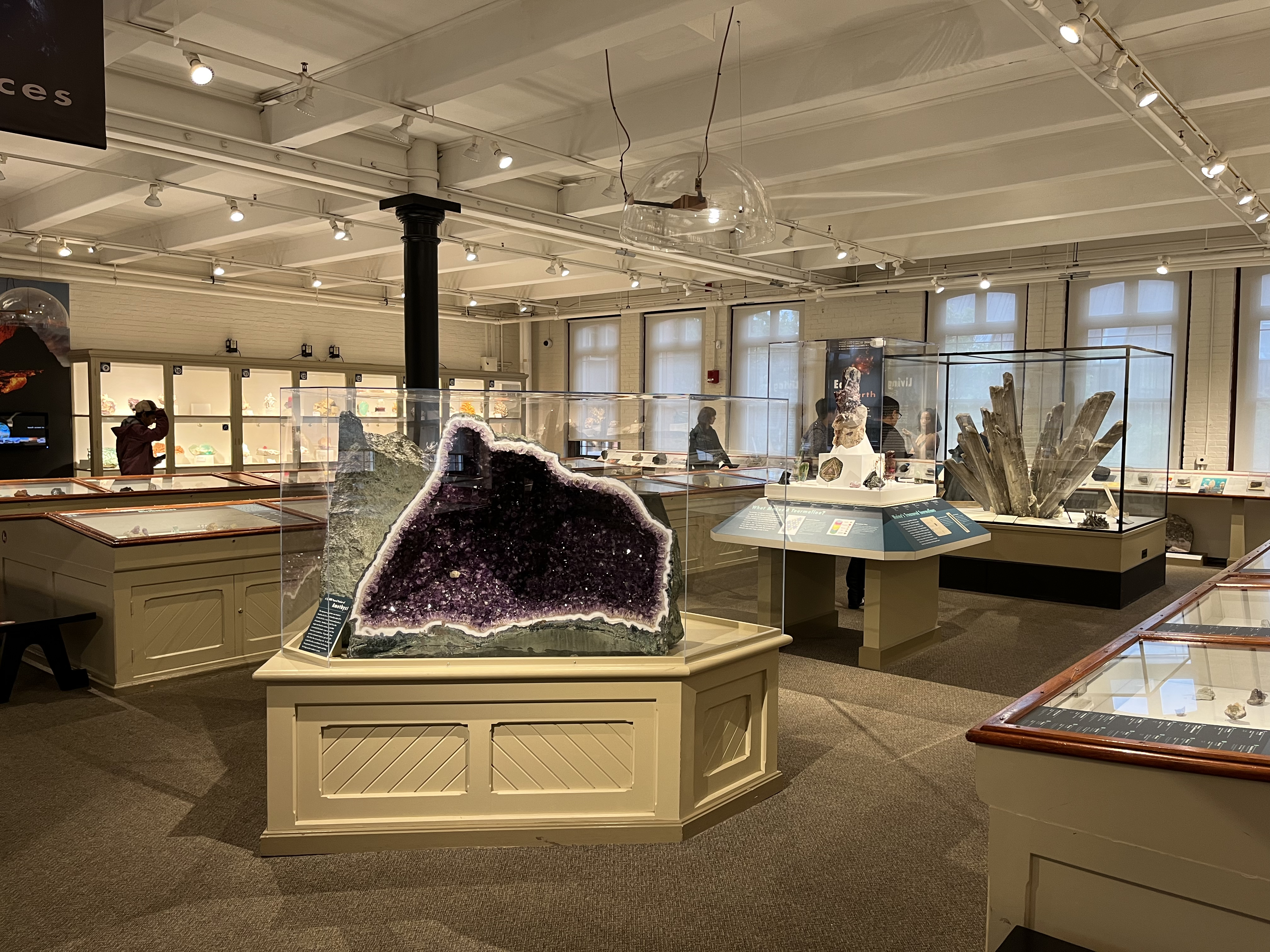 Interior of the Harvard Museum of Natural History in Cambridge, Massachusetts in 2023