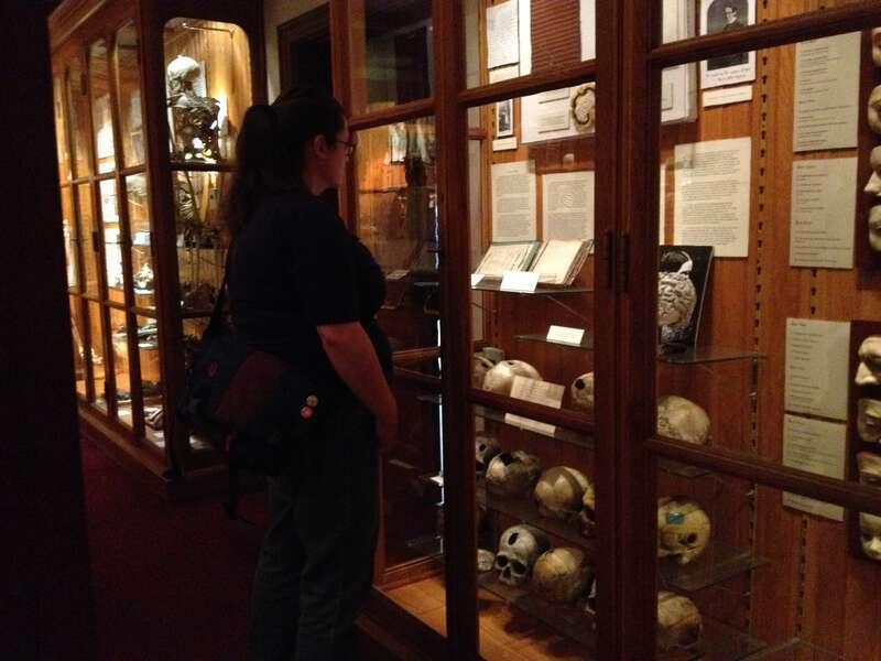 MÃ¼tter Museum.