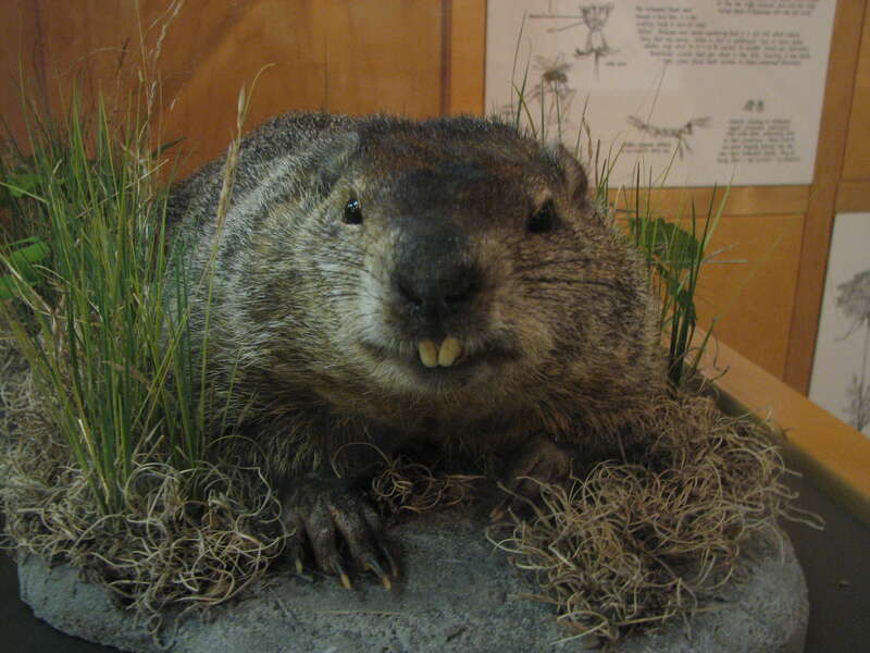 Nature Center and Planetarium in Rock Creek Park (5200 Glover Road Northwest, Washington, DC 20015)