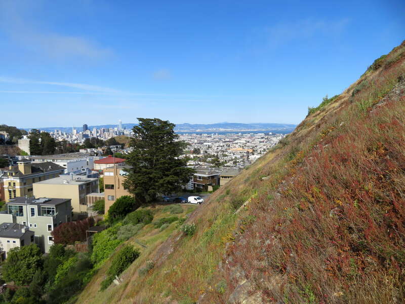 The north slope of Tank Hill in May 2020