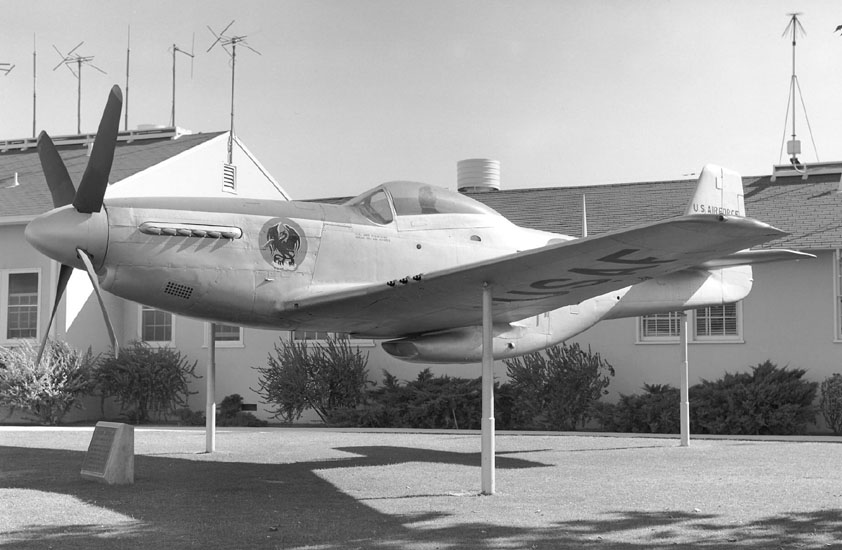 P-51DangOnpole62 copy