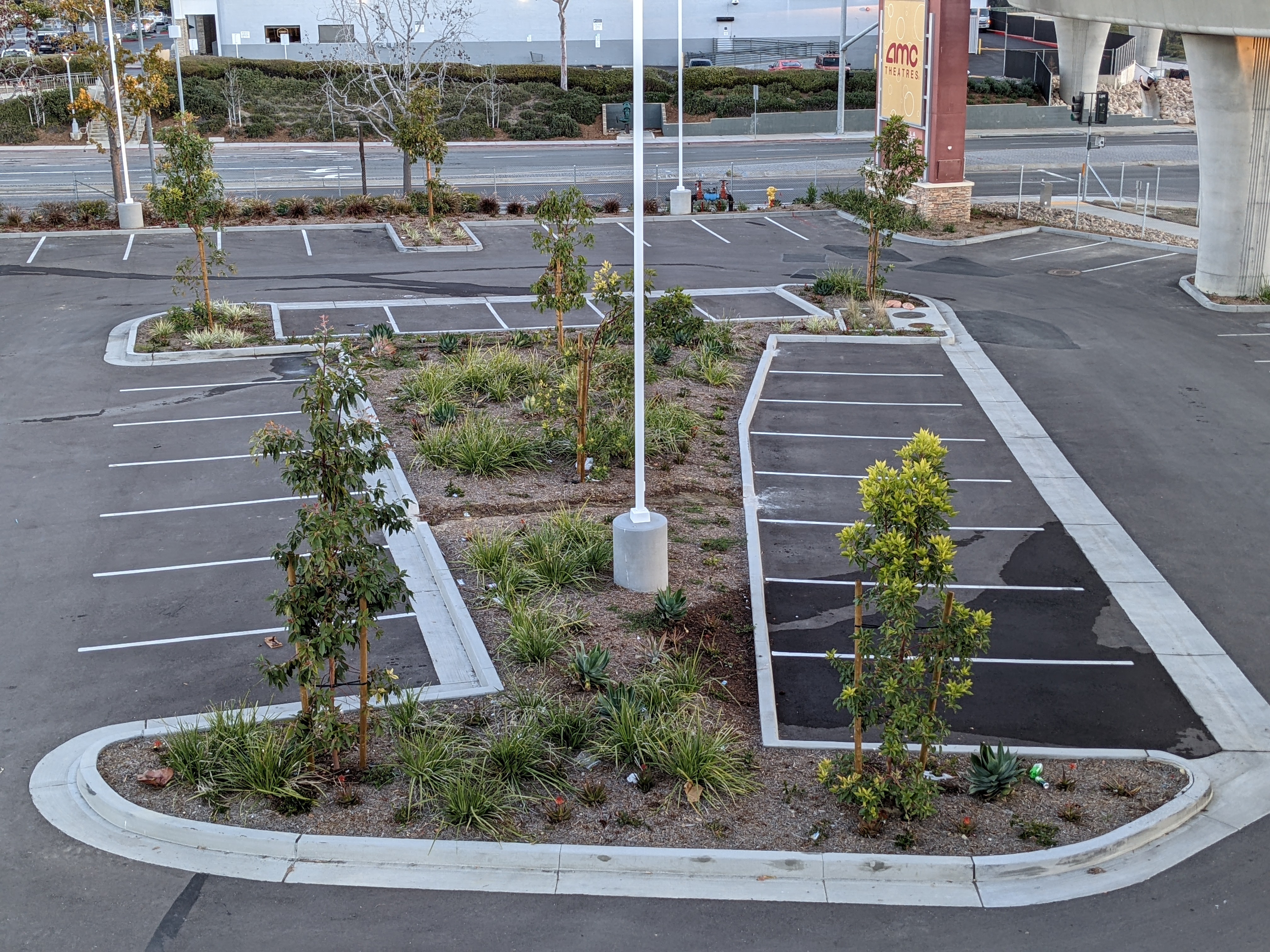 Parking island viewed from the steps of the nobel drive trolley station. Curb cuts allow for dispersion of stormwater runoff from asphalt to landscaping.