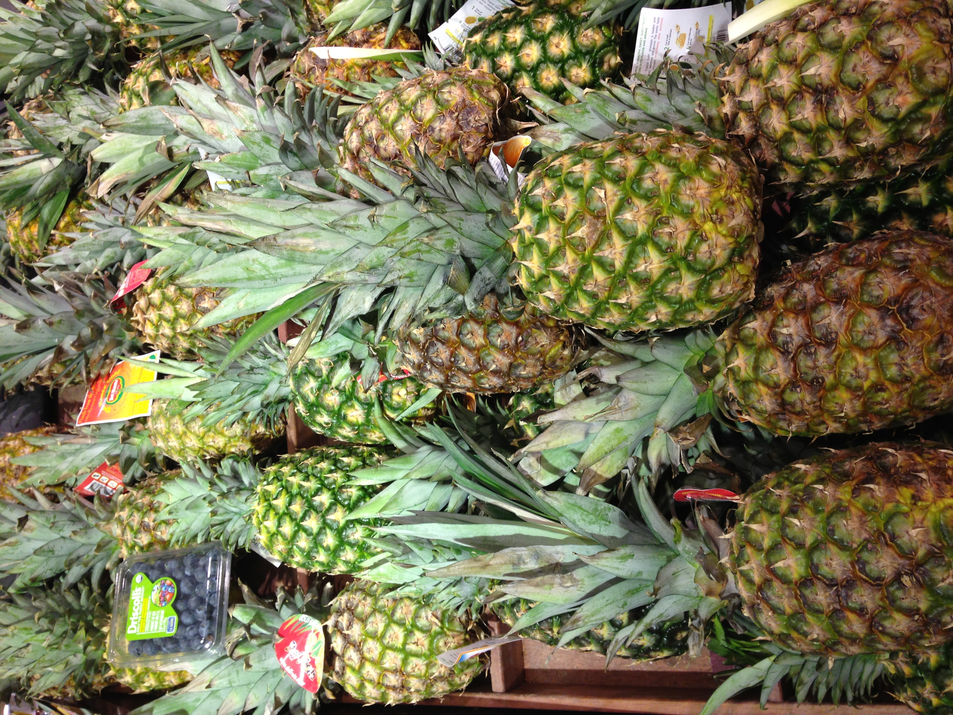 Ananas comosus