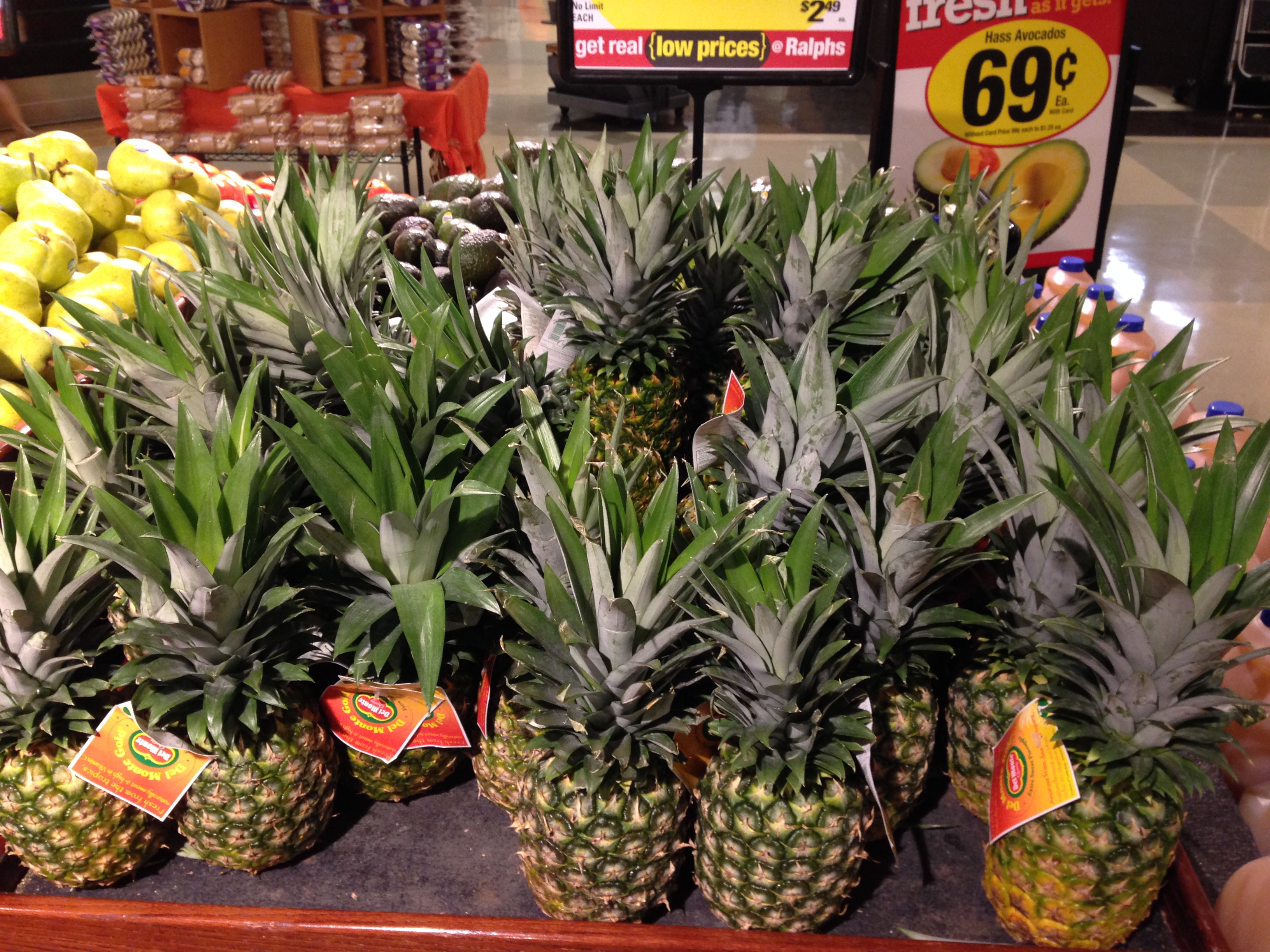 Ananas comosus