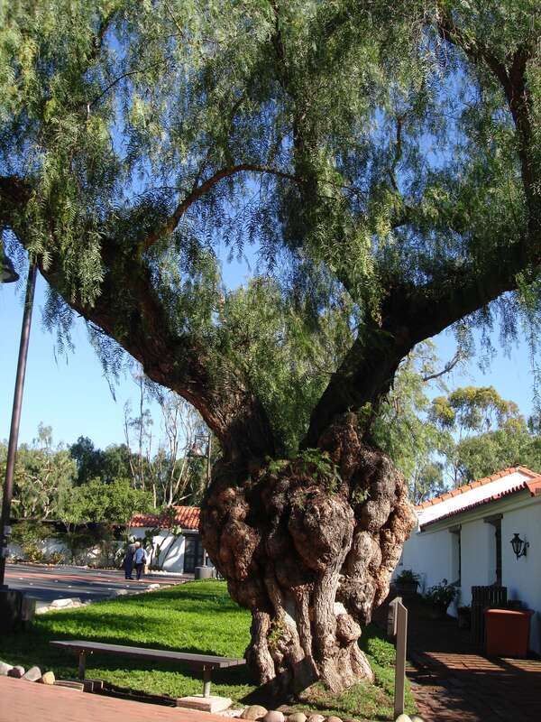 San Diego, CA USA - Mission San Diego de Alcala *1769 *