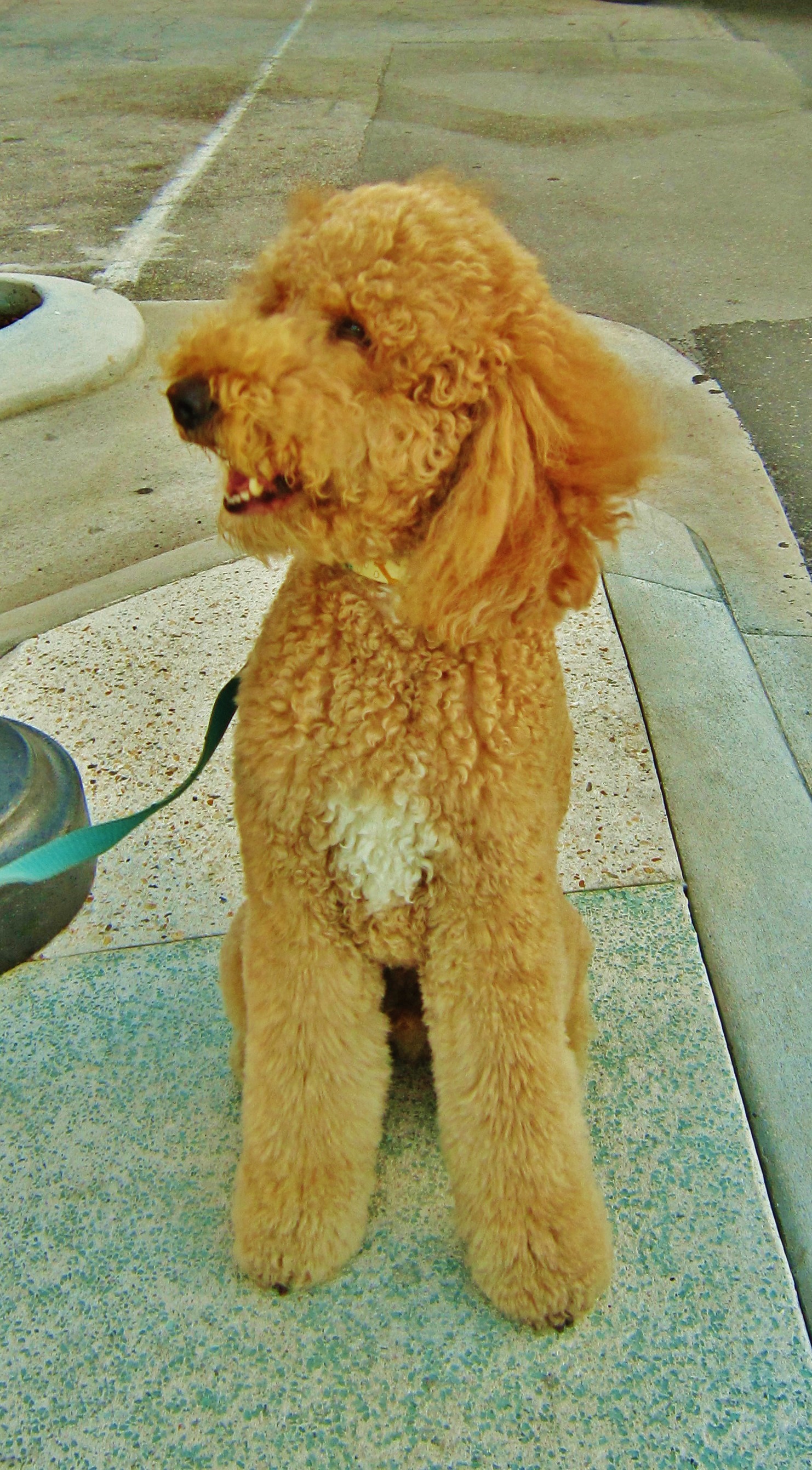 Smiling beauty on Pompano Beach walkway... / Voici mon plus beau sourire