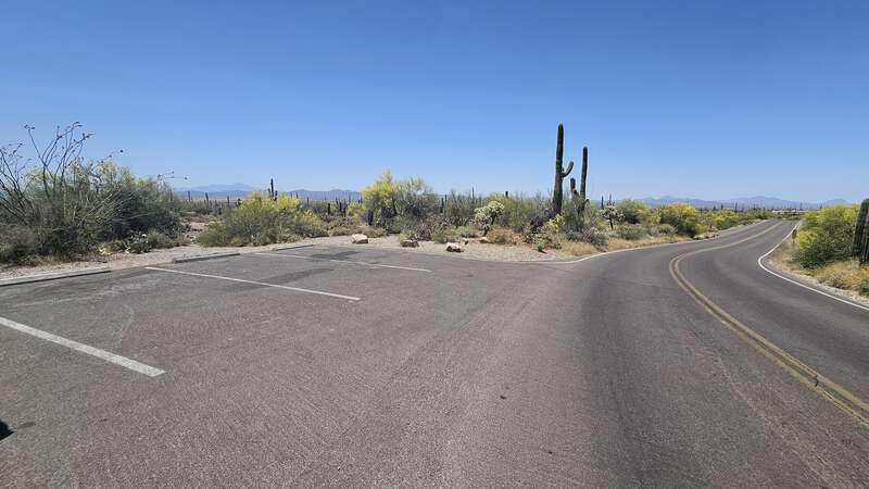 Horizontal image. The left of the image shows a small four spot parking lot, to the right the road extends off into the distance. Beyond the road only lush Sonoran desert vegetation can be seen.
A small, four spot, parking lot just east of the