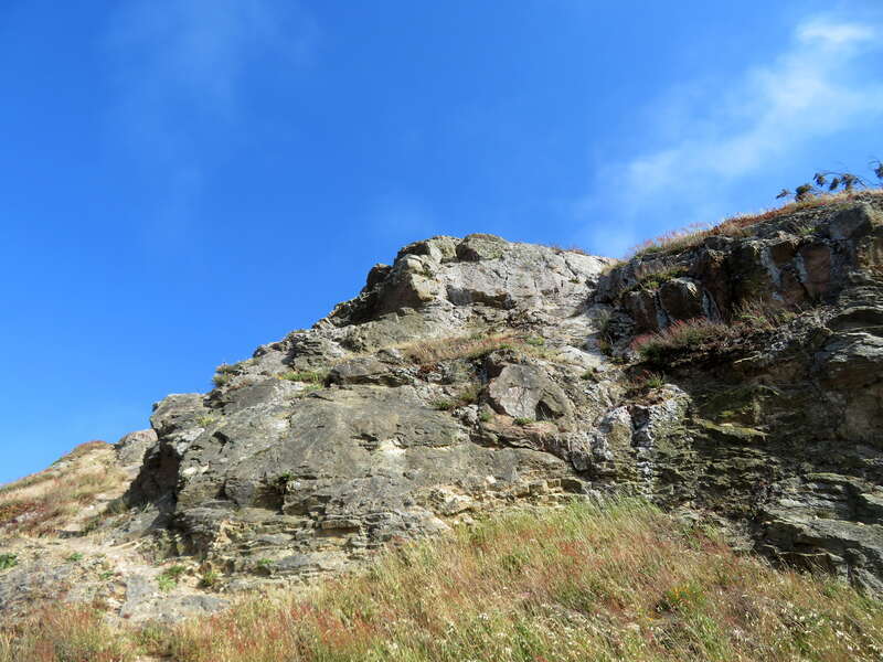 The summit of Tank Hill viewed from the north slope in May 2020