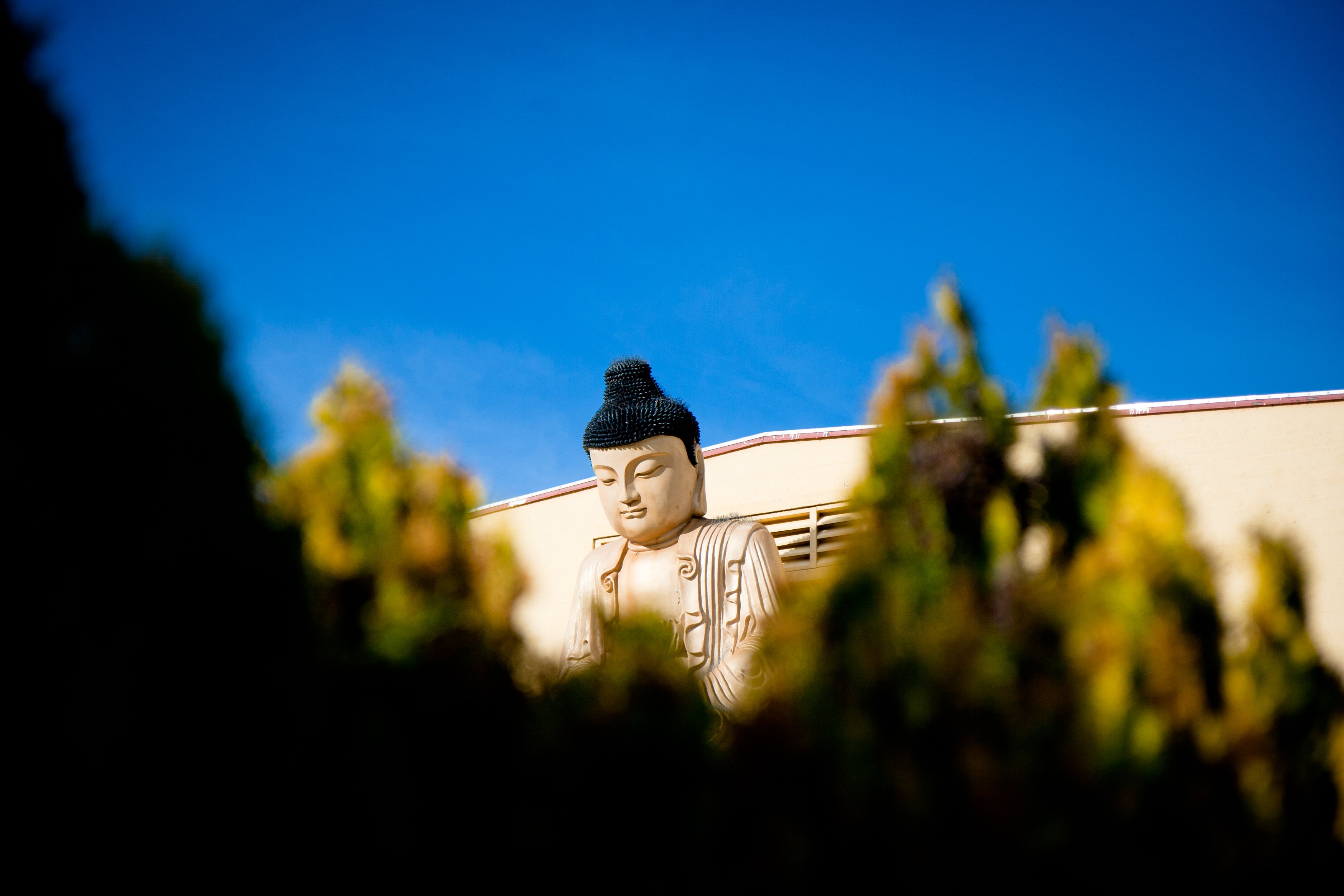 City of Ten Thousand Buddhas