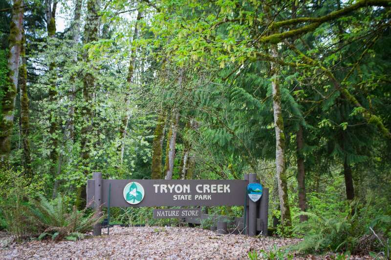 Tryon Creek State Park, Portland, Oregon