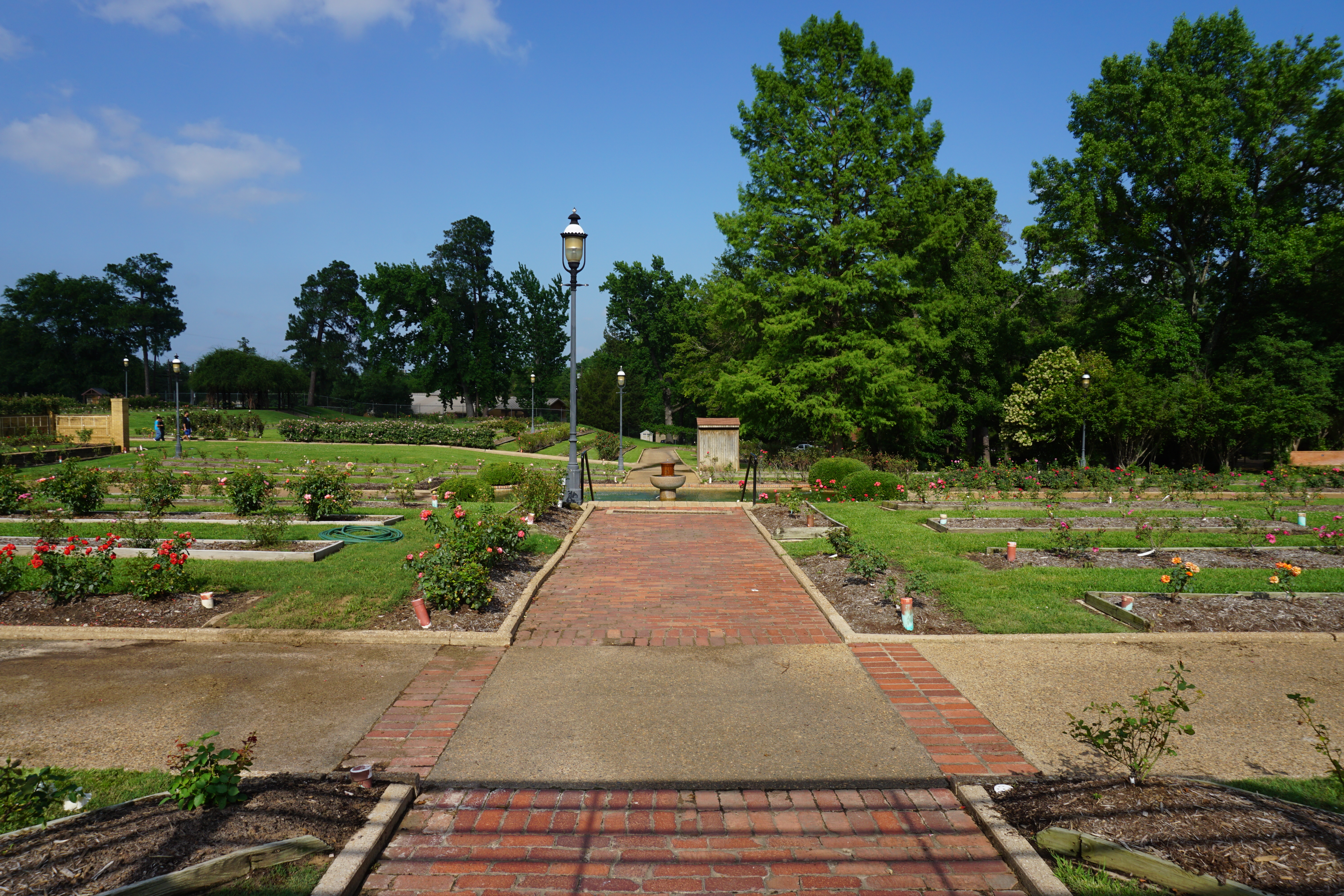 The Rose Garden at the Rose Garden Center in Tyler, Texas (United States).