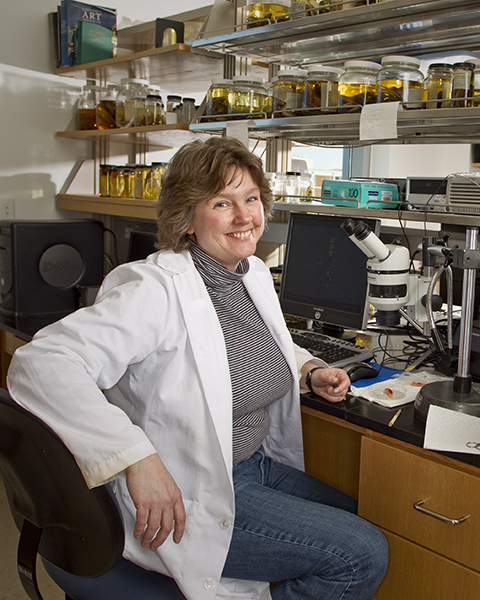 Victoria Braithewaite, Penn State University professor of Fisheries and Biology in her lab.
Link to Photo: Common History
Credit: Bill Cramer/Wonderful Machine
Contact: connect@wonderfulmachine.com
Location: Forest Resources Laboratory, Hastings
