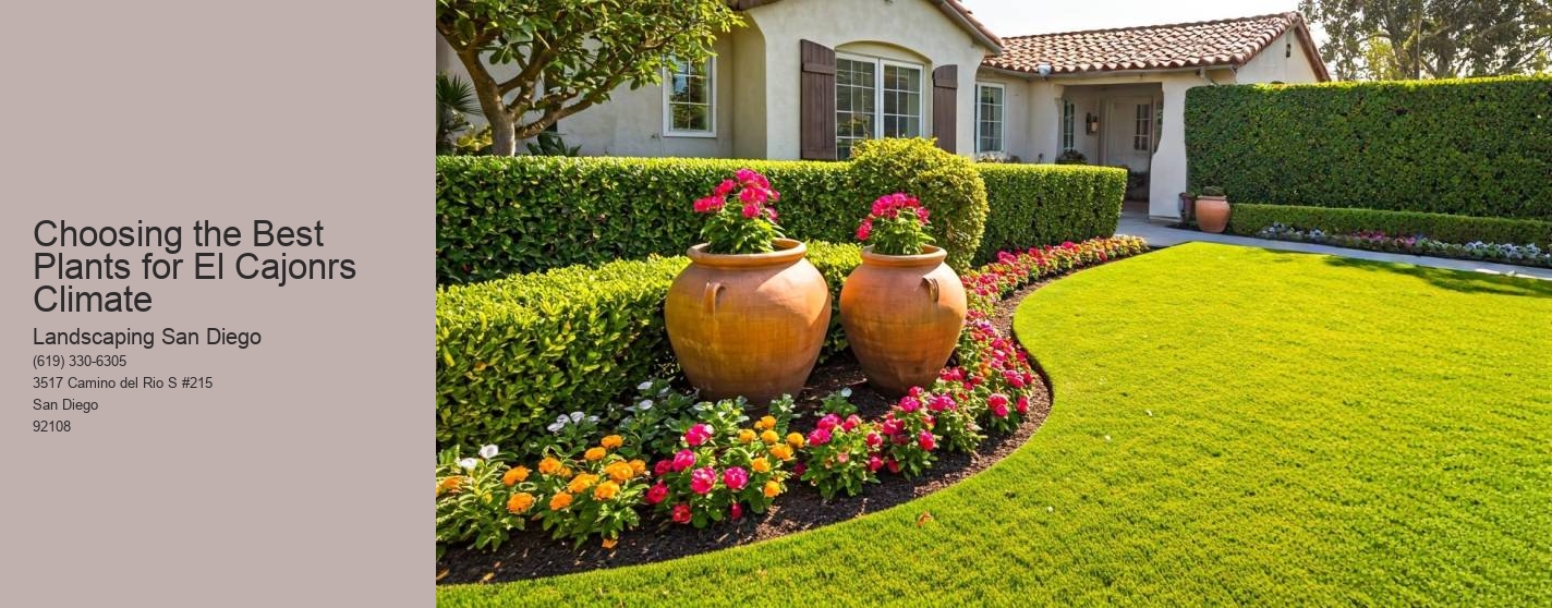 Choosing the Best Plants for El Cajonrs Climate