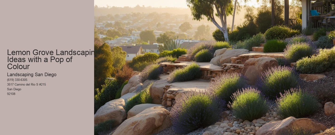 Lemon Grove Landscaping Ideas with a Pop of Colour