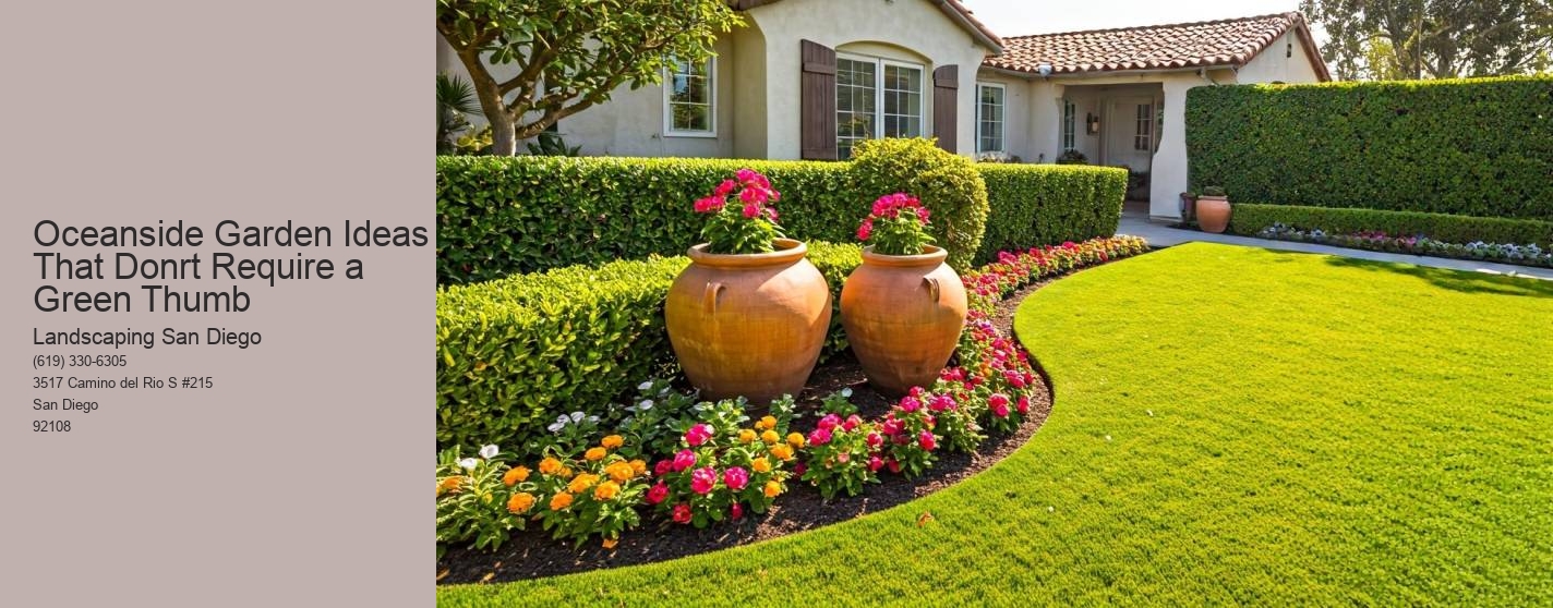 Oceanside Garden Ideas That Donrt Require a Green Thumb