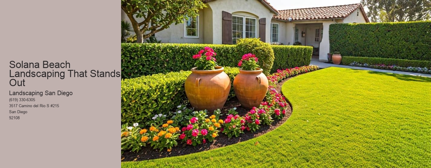 Solana Beach Landscaping That Stands Out