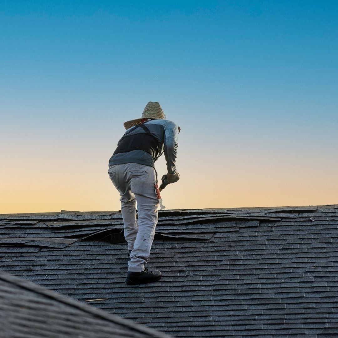 Professional Roof Assessments