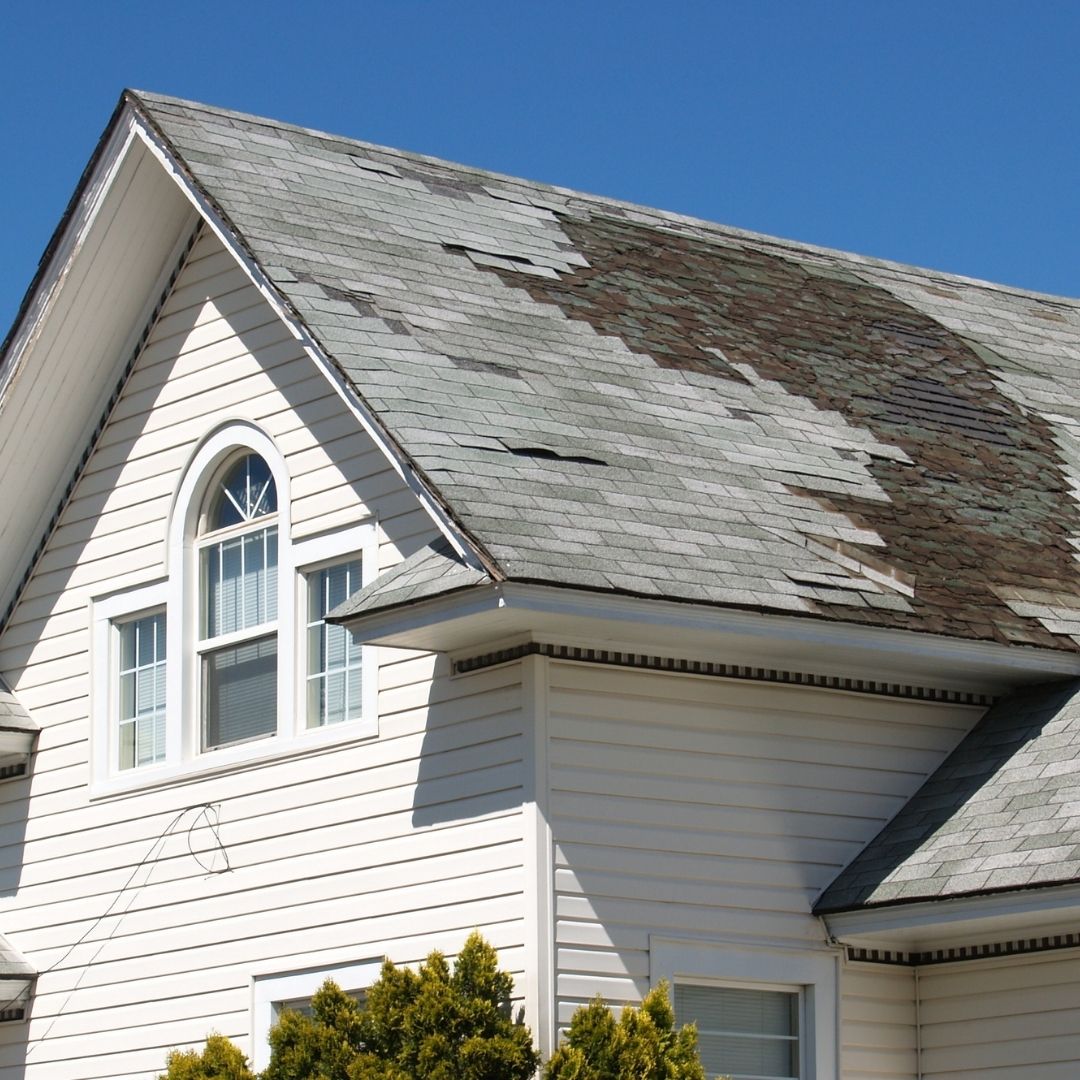 Durable Asphalt Shingle Roof Installation