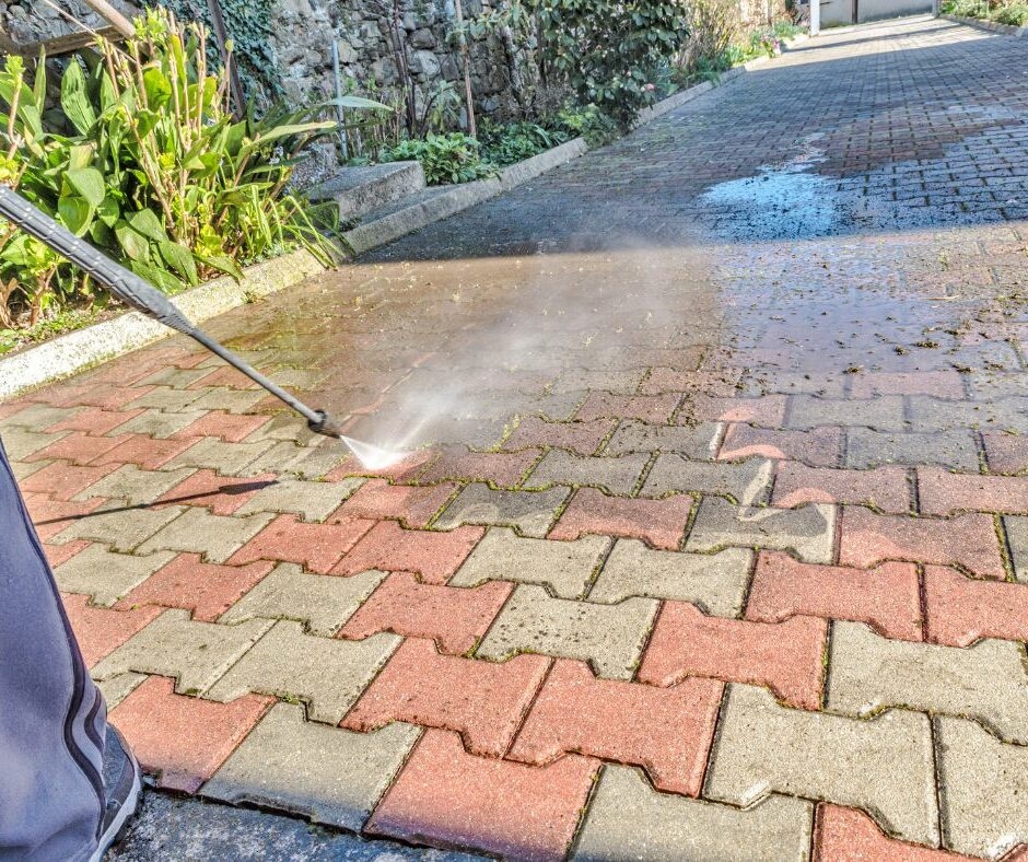 Protect Your Home: Expert Mould & Sanitation Cleaning in Sutherland Shire