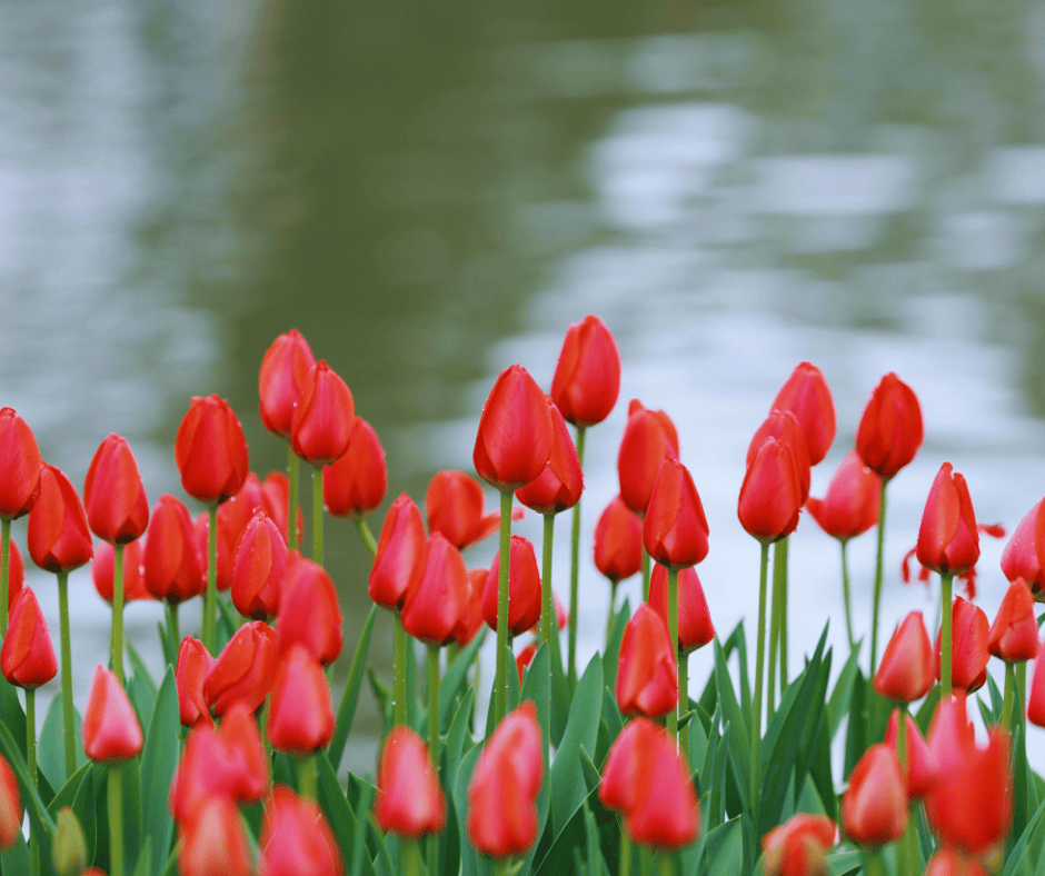 Finding A Reliable Roofing Contractor