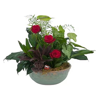 Birthday Flowers