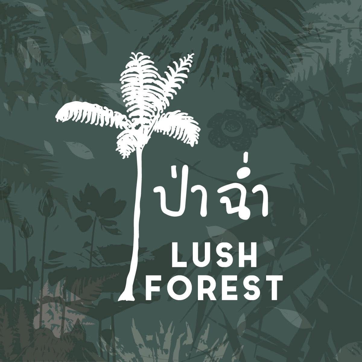 ป่าฉ่ำ Lush Forest