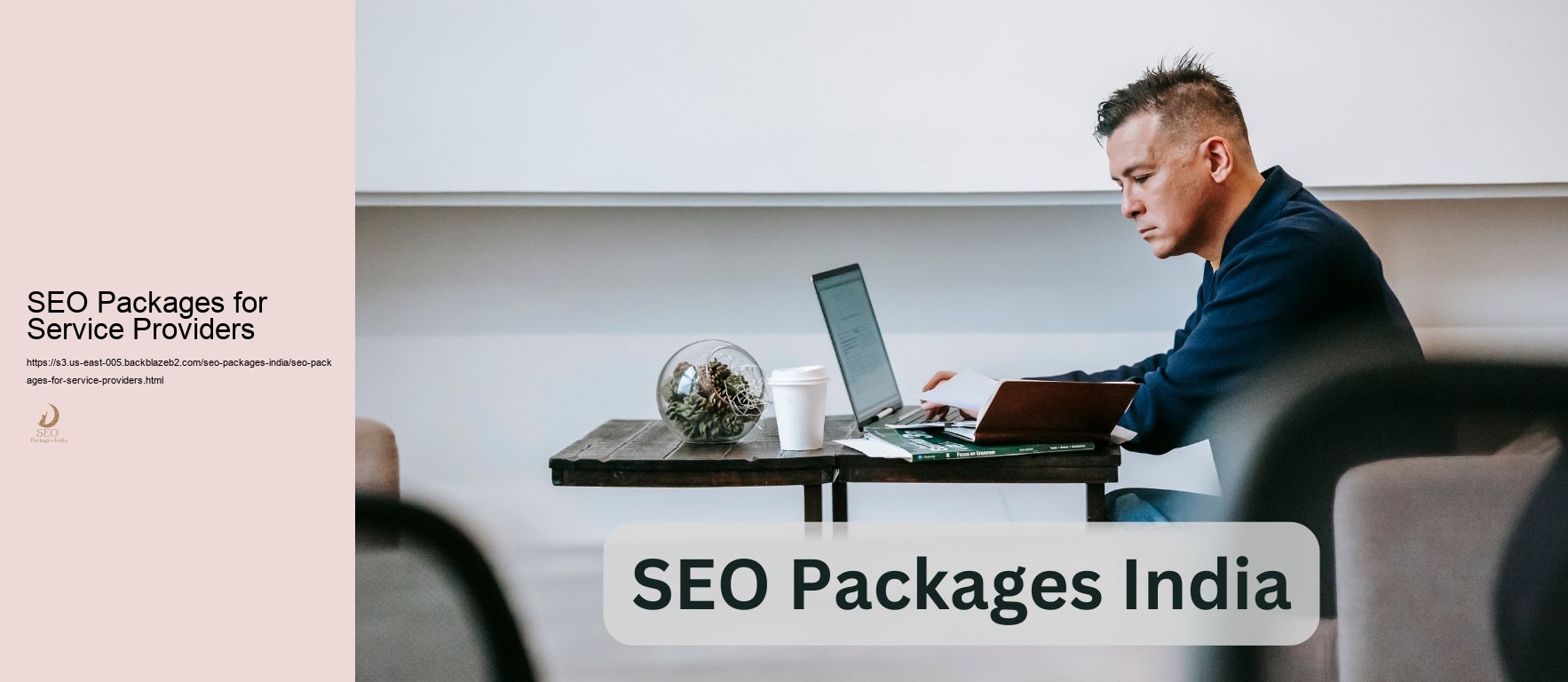 SEO Packages for Service Providers