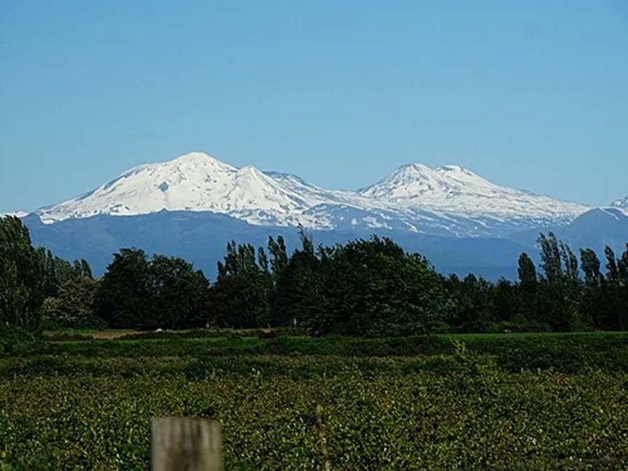 Nuevo pulso eruptivo en el Nevados de Chillán generó una columna de cenizas de 380 metros