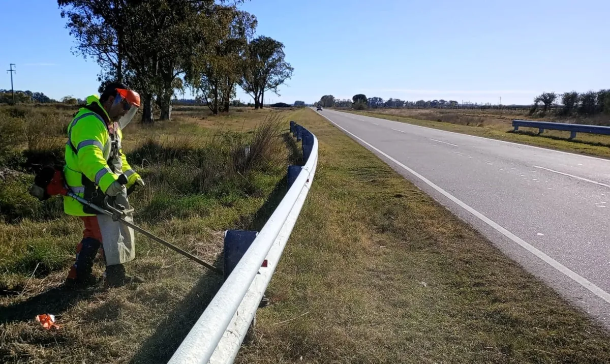 Ziliotto licitó el corte de pasto en rutas de La Pampa por $3.170 millones