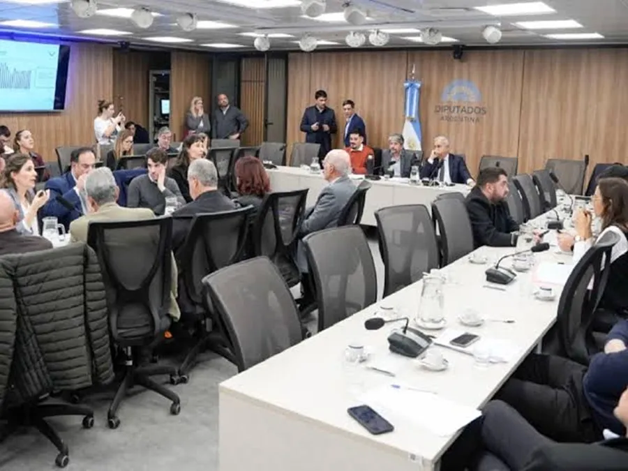 Morosidad: la oposición negocia el dictamen y busca superar las firmas de LLA
