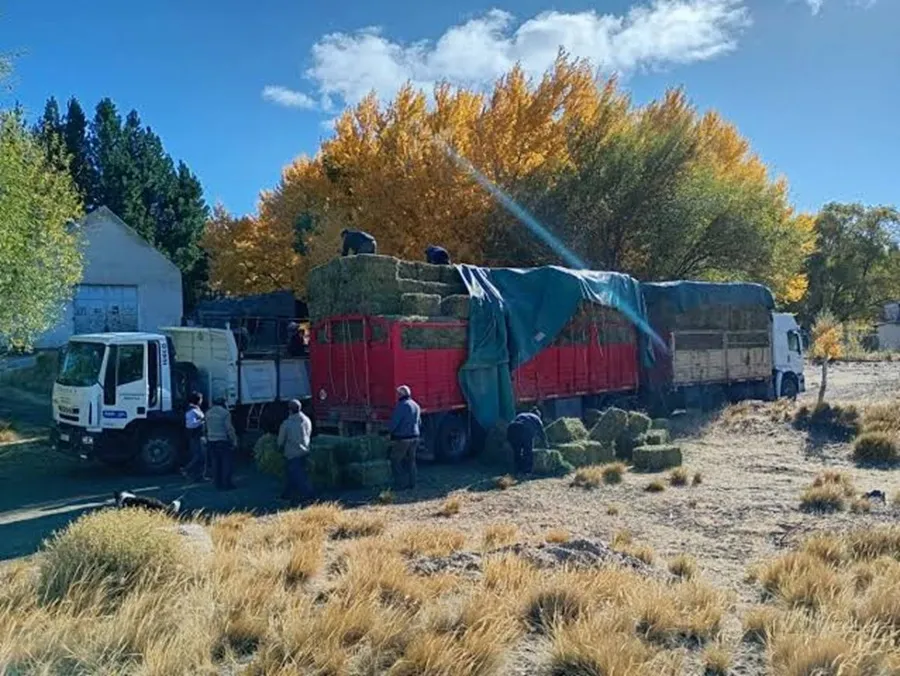 Fondos rotatorios en Neuquén: 123 organizaciones y 2.700 familias alcanzadas