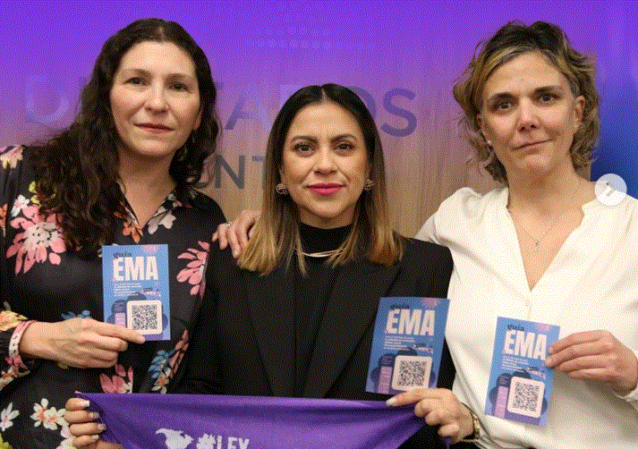 El Senado bonaerense sancionó la Ley Ema que impulsó Mayra Mendoza