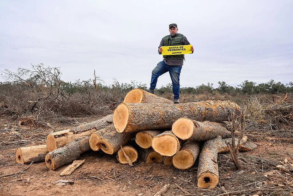 Comunidad indígena El Tunal denuncia desmontes avalados por Bosques de Santiago del Estero