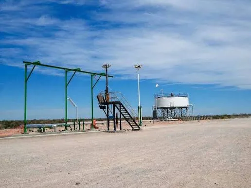 Río Negro abre concurso para las áreas Puesto Flores-Estancia Vieja y Puesto Prado