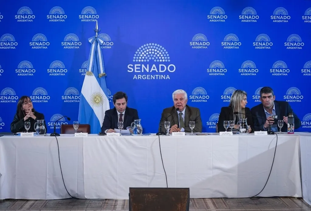 El Senado frenó el dictamen del Súper RIGI por reclamos de opositores y aliados