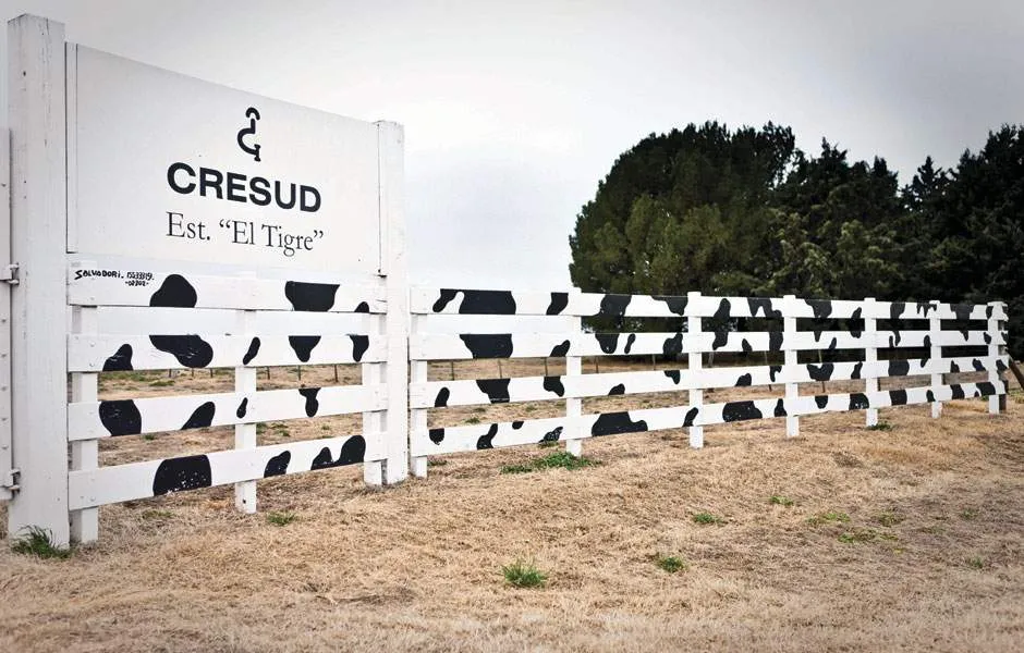 Cresud perdió 27.225 millones en su negocio agrícola y proyecta más siembra