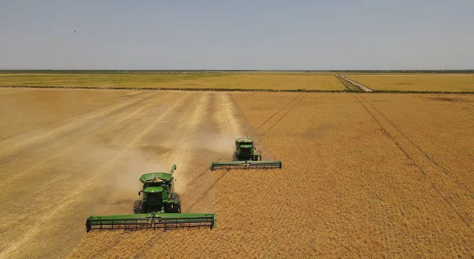 Quién es Desdelsur SA: la principal exportadora de legumbres de Argentina con sede en Salta