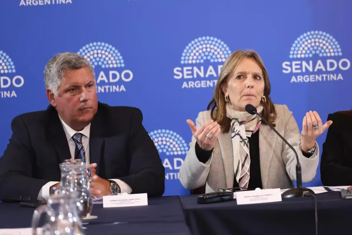 La PIA denunció a Tettamanti por el RIGI a Harbour Energy, sancionada por Malvinas