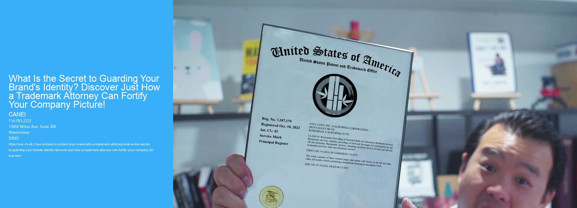 What Is the Secret to Guarding Your Brand's Identity? Discover Just How a Trademark Attorney Can Fortify Your Company Picture!