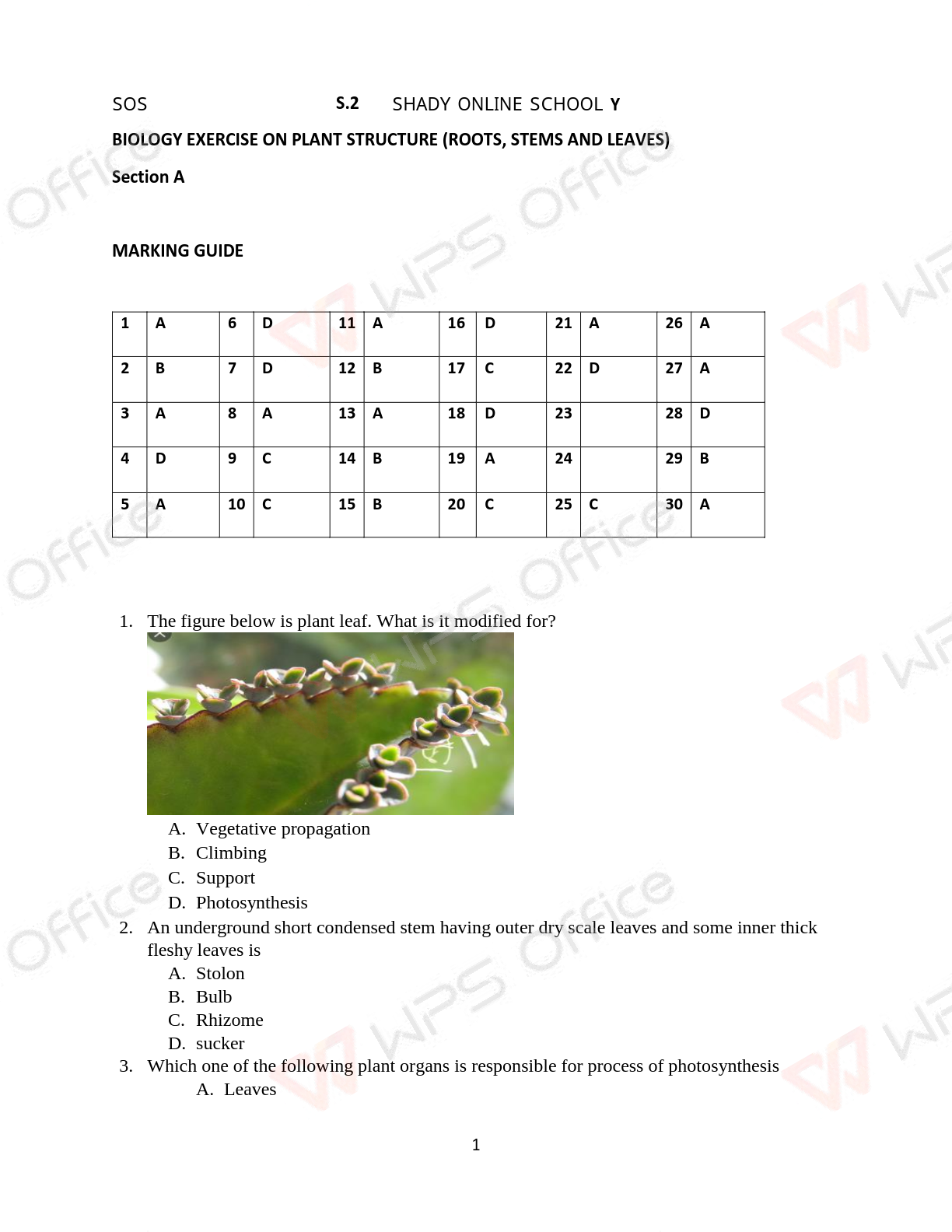 s2 biology questions and marking guide shady online school