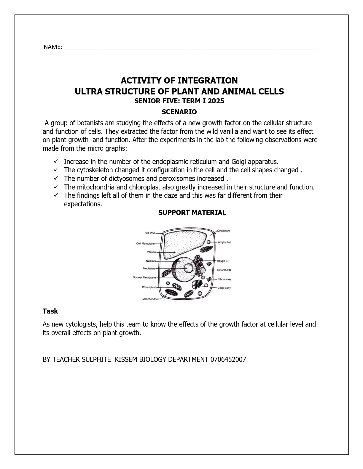 s5 biology term 1 2025 activity of integration cytology