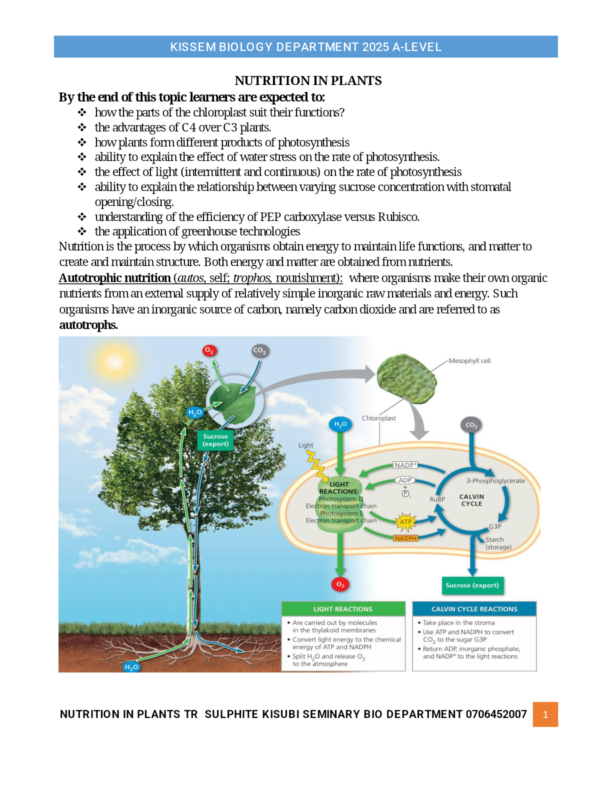 S5 CBC NUTRITION IN PLANT