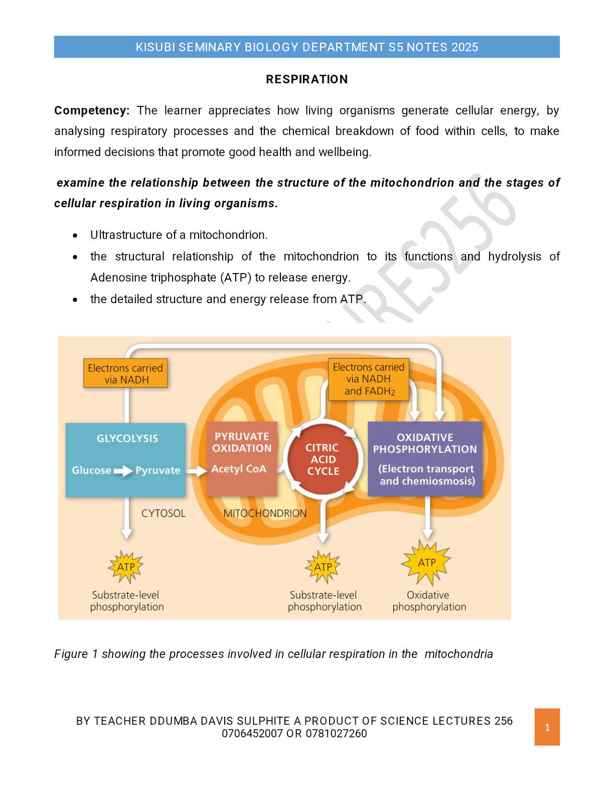 Respiration