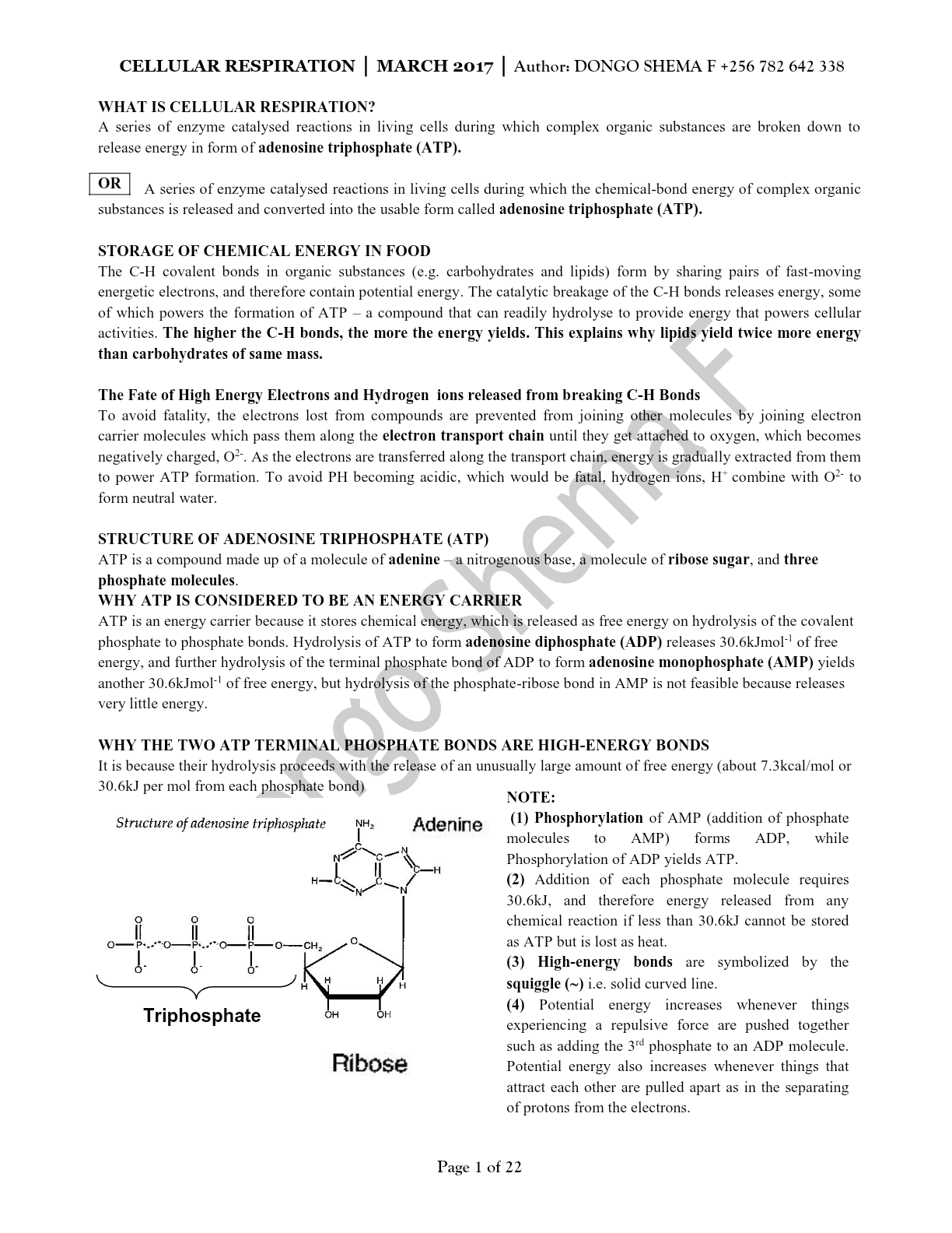 Cellular respiration- Dongo shema