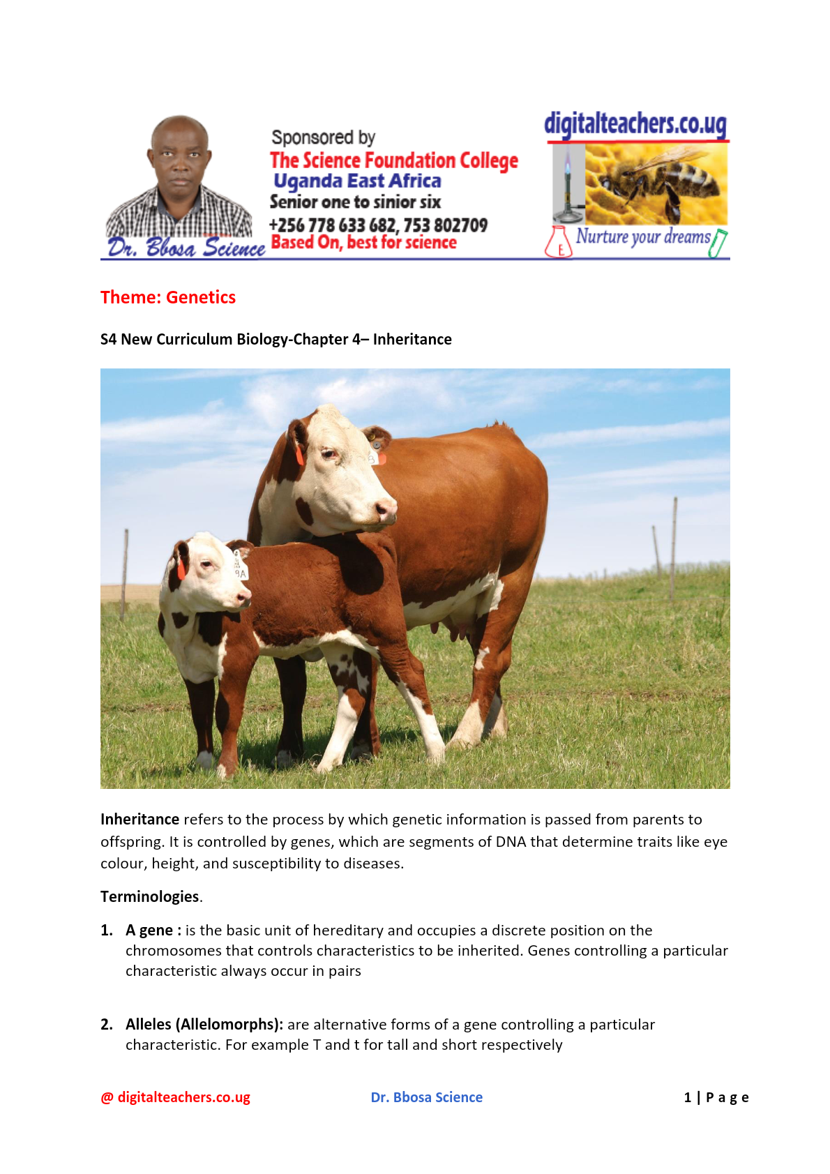 S4-New-Curriculum-Biology-Chapter-4–-Inheritence