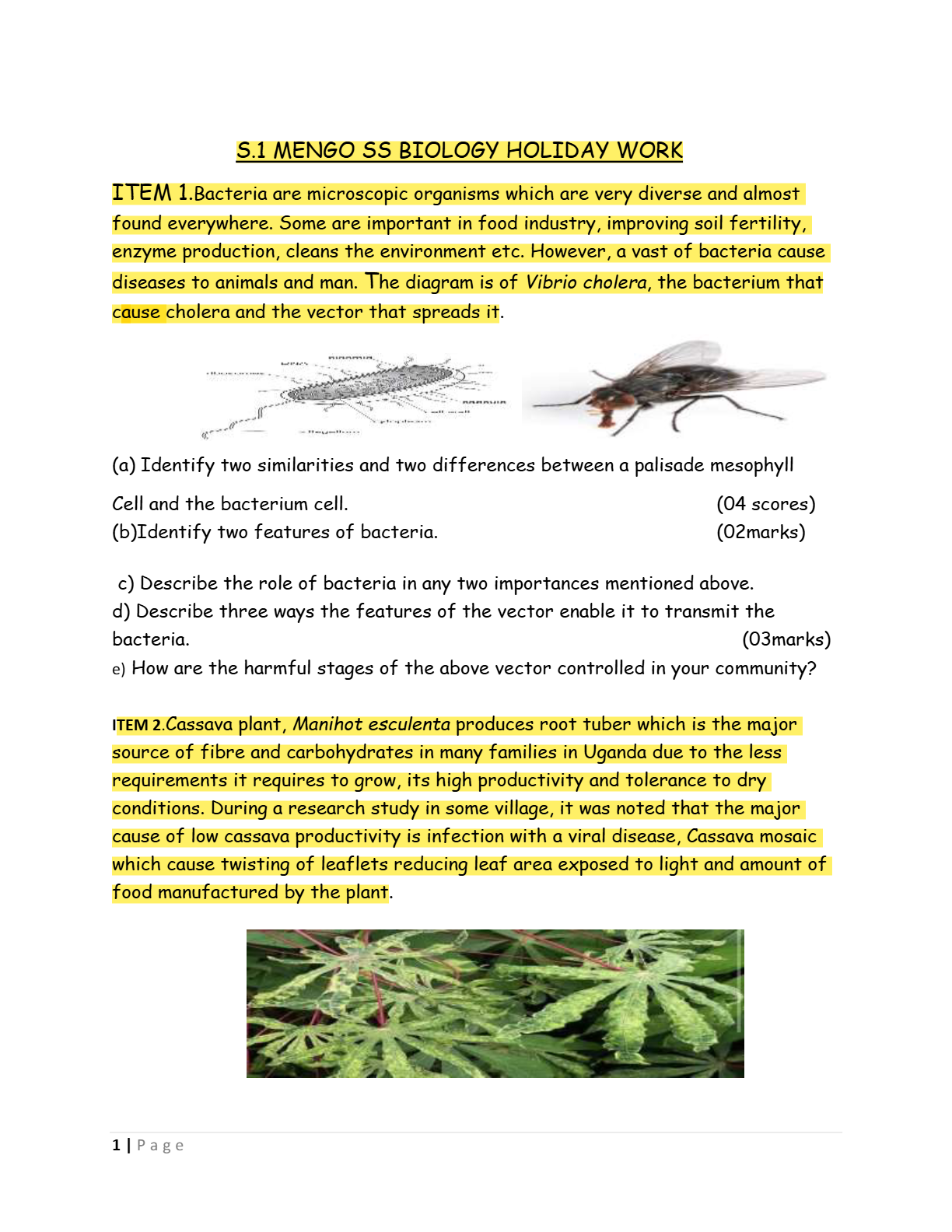 S.1 Biology scenarios