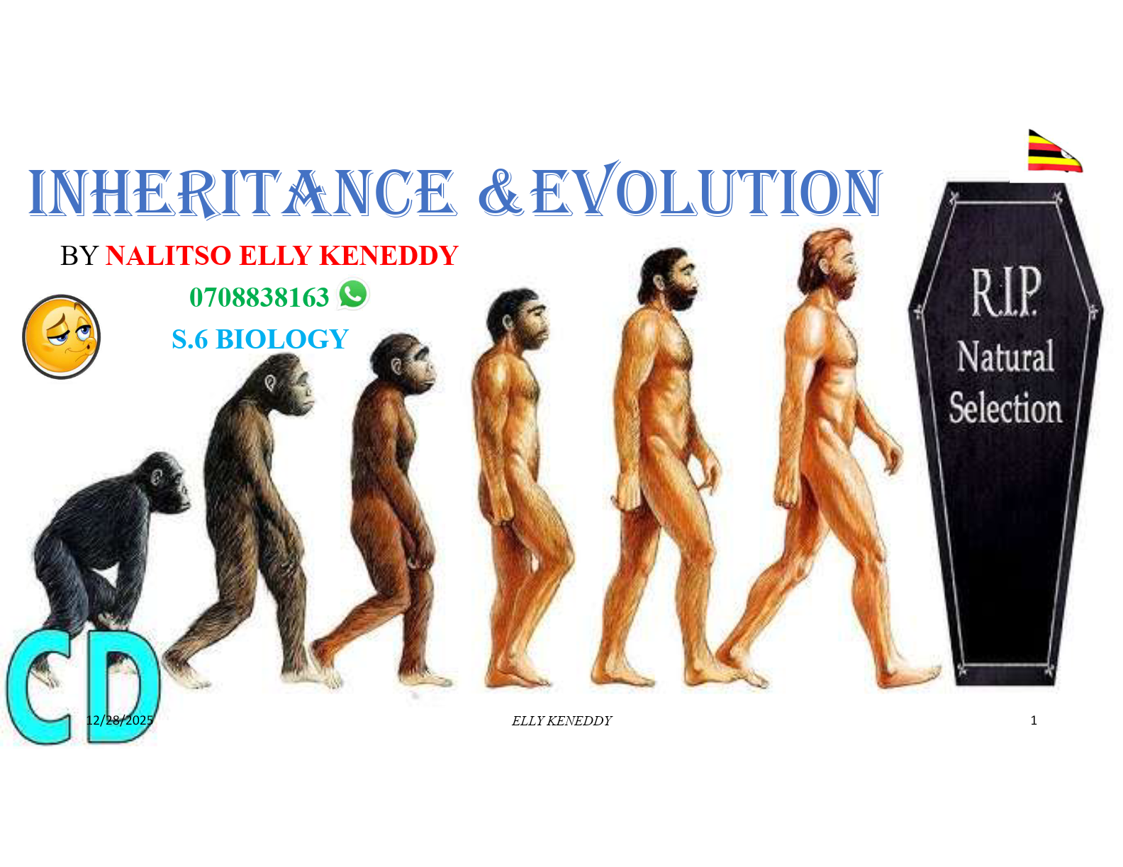 INHERRITANCE AND EVOLUTION by @ Elly kenny.(1)