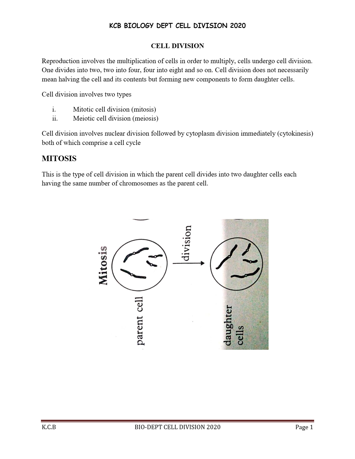 S.4 BIOLOGY - CELL DIVISION 2020